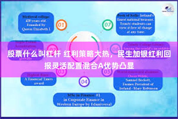 股票什么叫杠杆 红利策略大热，民生加银红利回报灵活配置混合A优势凸显