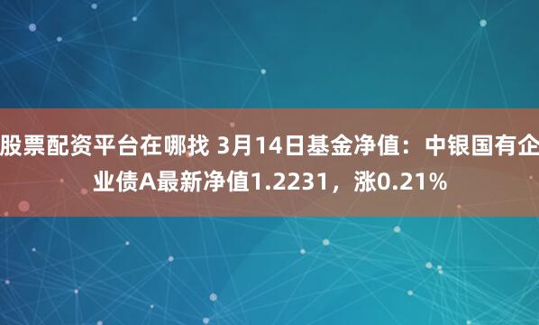 股票配资平台在哪找 3月14日基金净值：中银国有企业债A最新净值1.2231，涨0.21%