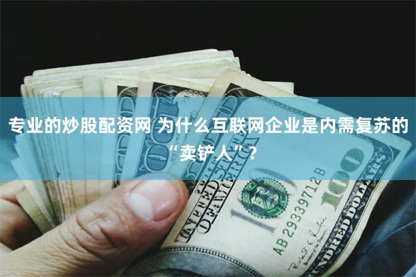 专业的炒股配资网 为什么互联网企业是内需复苏的 “卖铲人”？