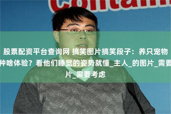 股票配资平台查询网 搞笑图片搞笑段子：养只宠物猪是种啥体验？看他们睡觉的姿势就懂_主人_的图片_需要考虑