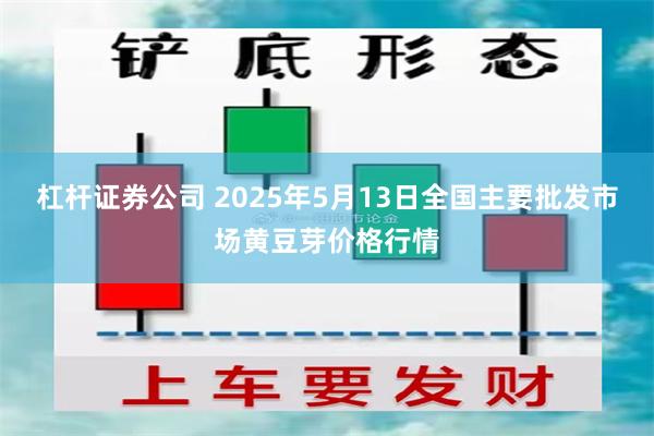 杠杆证券公司 2025年5月13日全国主要批发市场黄豆芽价格行情