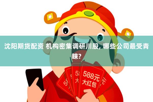 沈阳期货配资 机构密集调研川股, 哪些公司最受青睐?