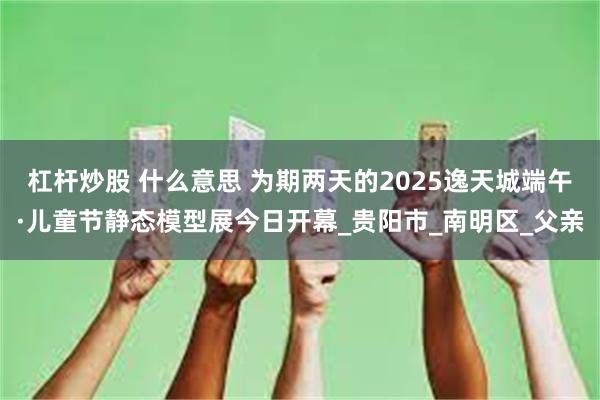 杠杆炒股 什么意思 为期两天的2025逸天城端午·儿童节静态模型展今日开幕_贵阳市_南明区_父亲