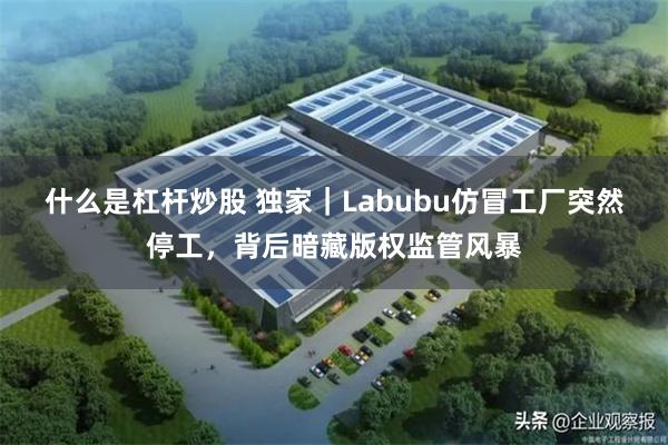 什么是杠杆炒股 独家｜Labubu仿冒工厂突然停工，背后暗藏版权监管风暴