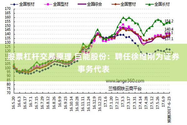 股票杠杆交易原理 巨能股份：聘任徐维刚为证券事务代表
