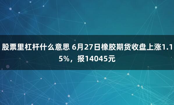 股票里杠杆什么意思 6月27日橡胶期货收盘上涨1.15%，报14045元