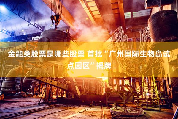 金融类股票是哪些股票 首批“广州国际生物岛试点园区”揭牌