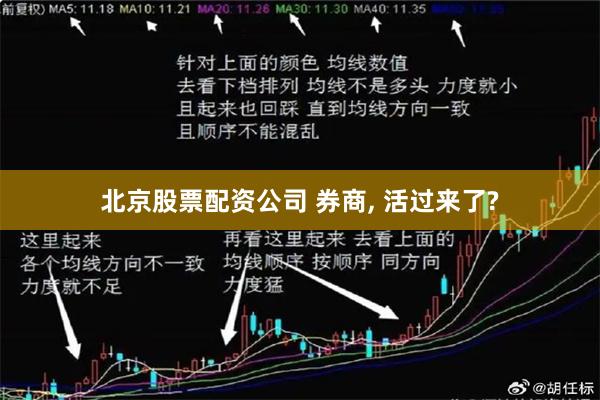 北京股票配资公司 券商, 活过来了?